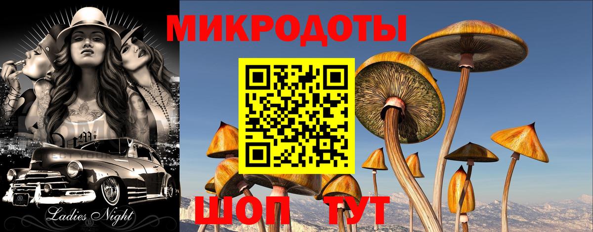 Галлюциногенные грибы ЛСД Будённовск
